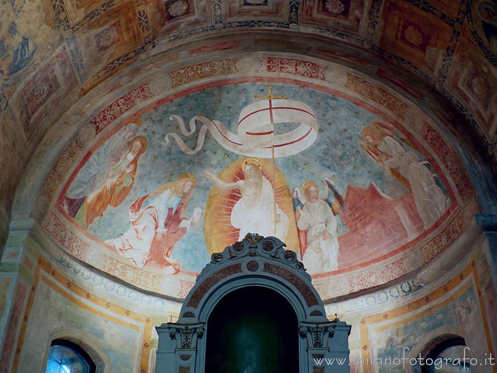 Bellusco (Monza e Brianza) - Catino absidale della Chiesa di Santa Maria Maddalena